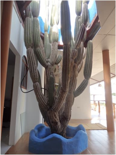 Candelabro